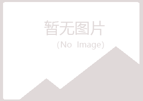 宁海县紫山咨询有限公司